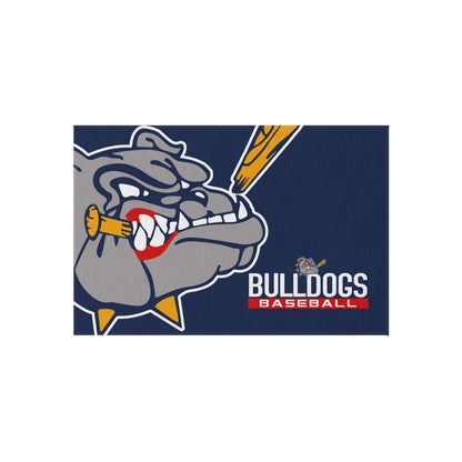 Outdoor Rug Bloomingdale Bulldogs Baseball