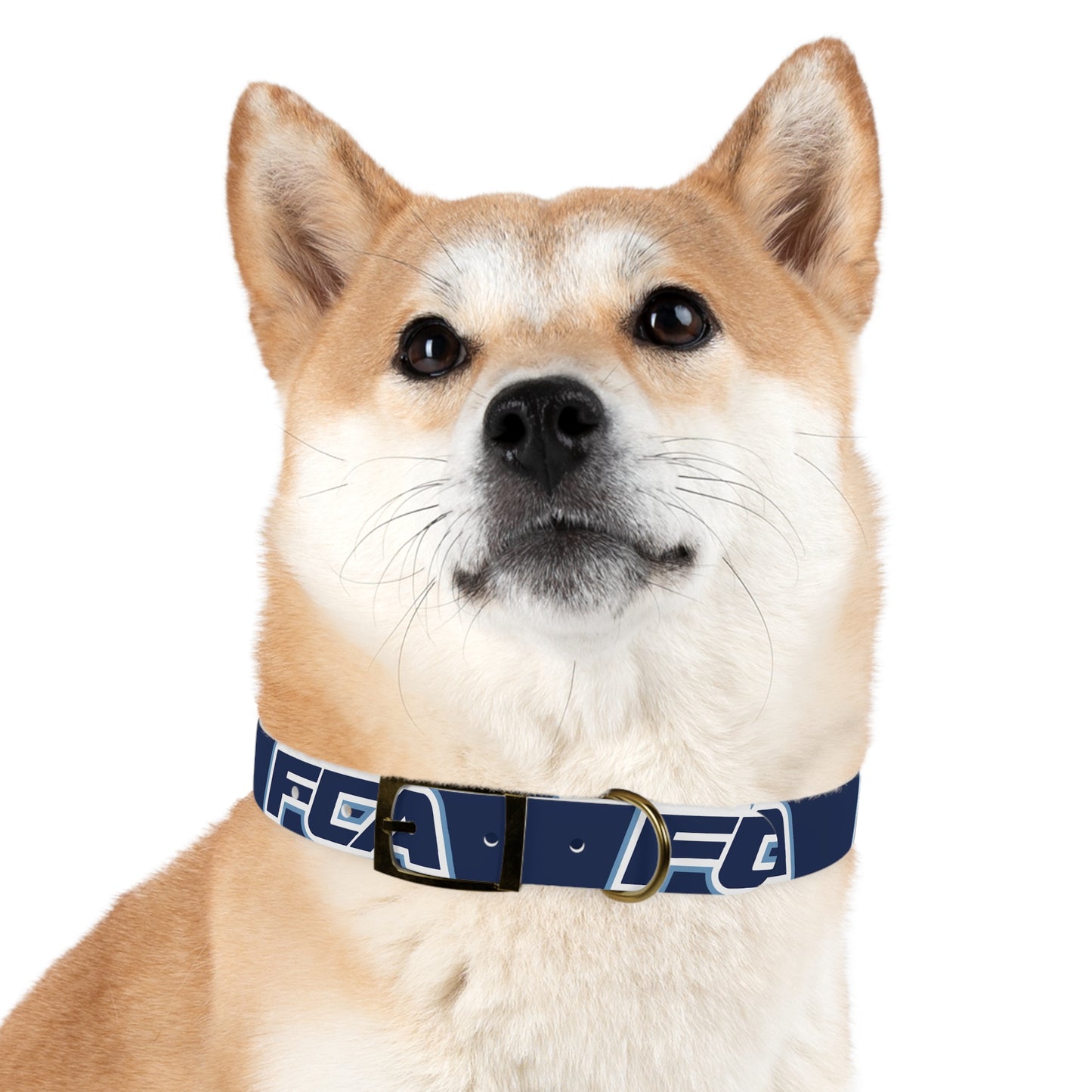 FCA - Dog Collar