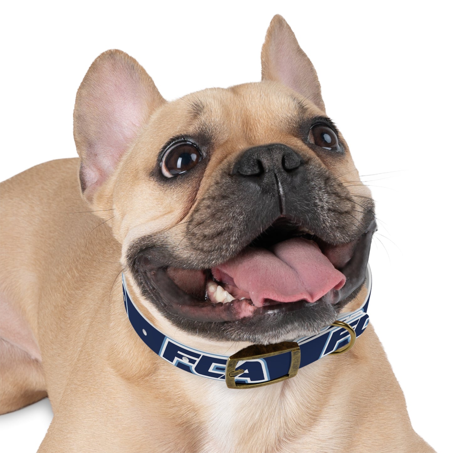 FCA - Dog Collar