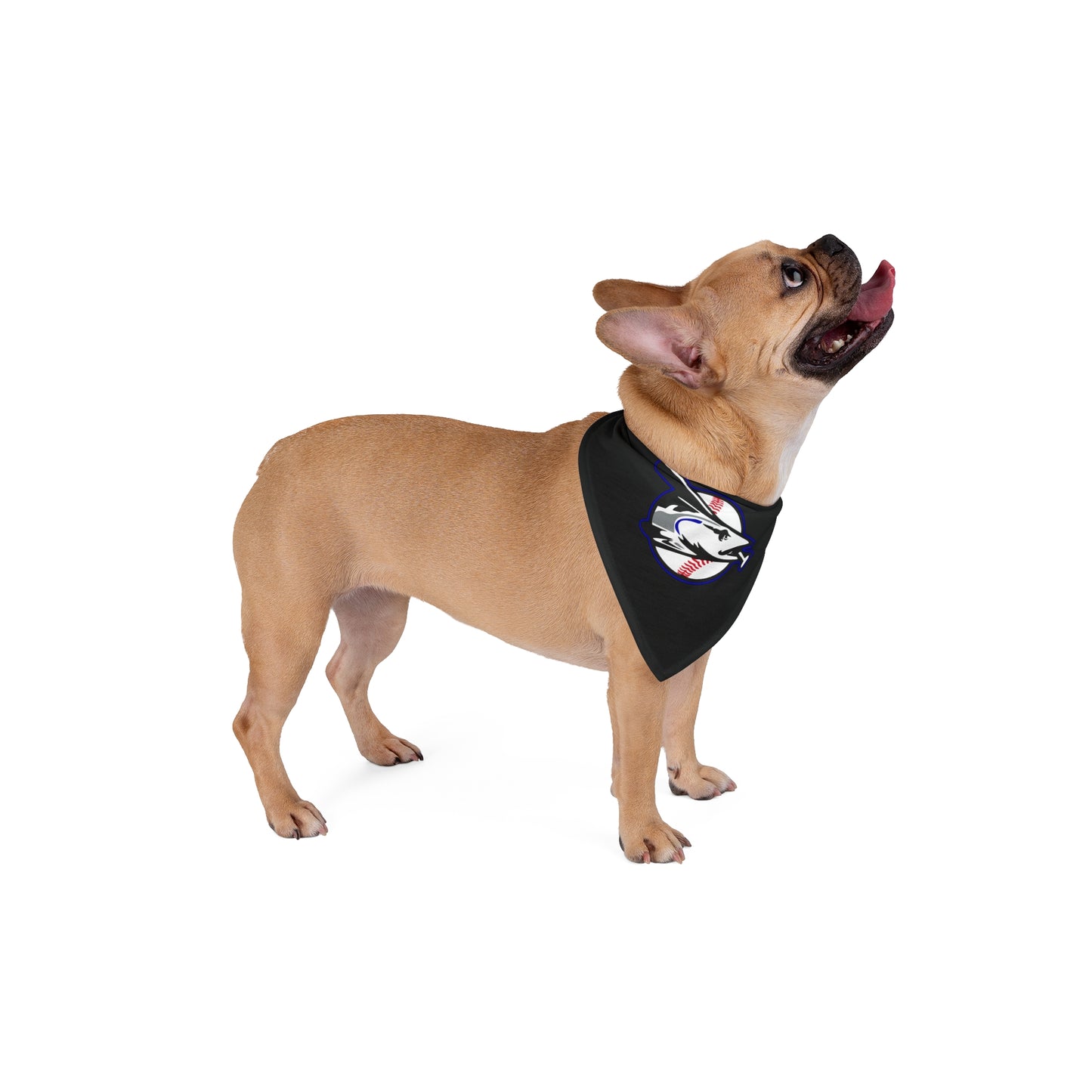 Pet Bandana