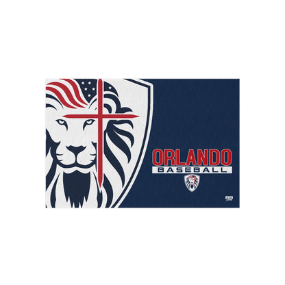 Outdoor Rug Orlando Lions Baseball