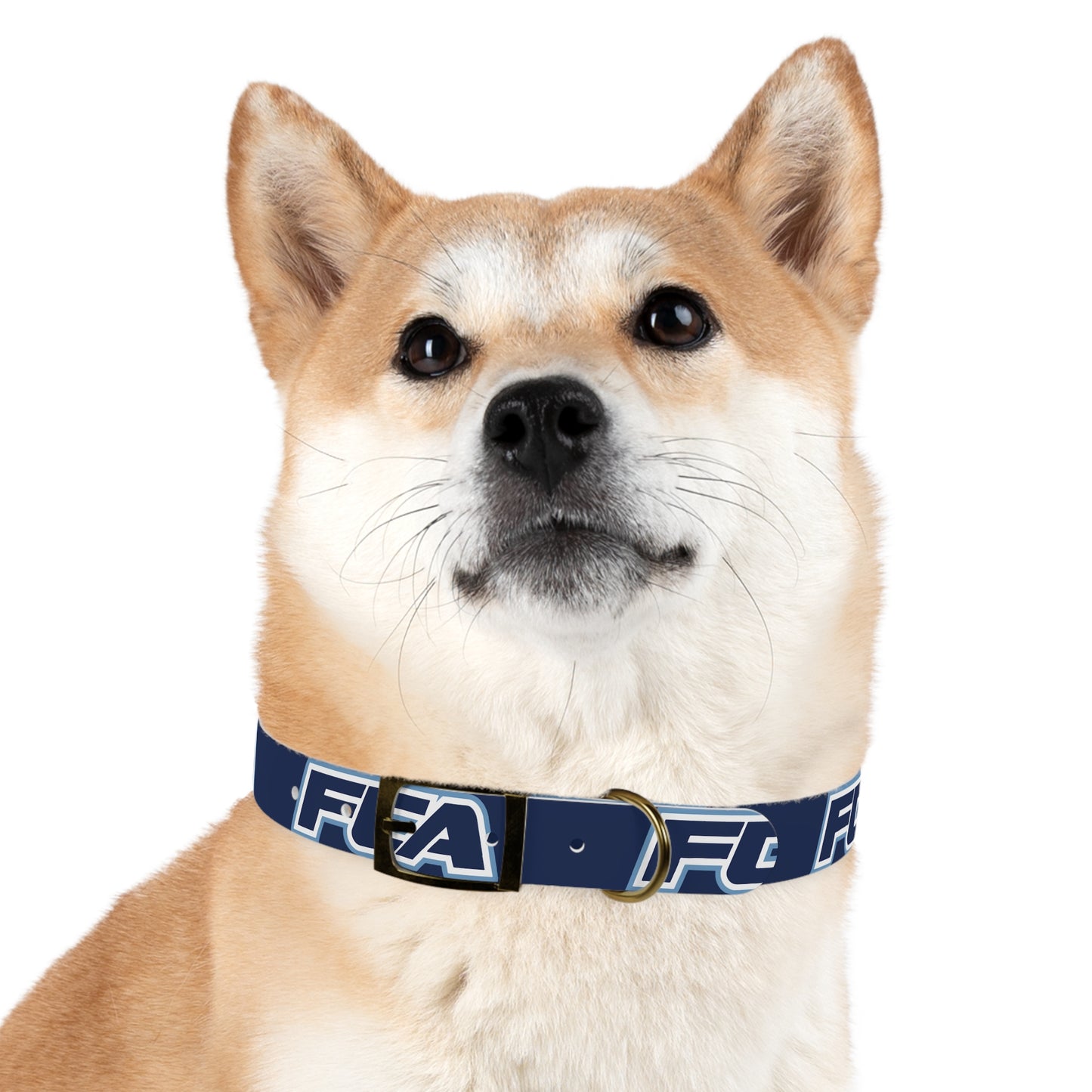 FCA - Dog Collar