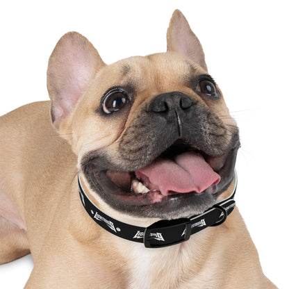 Dog Collar Lightning Baseball