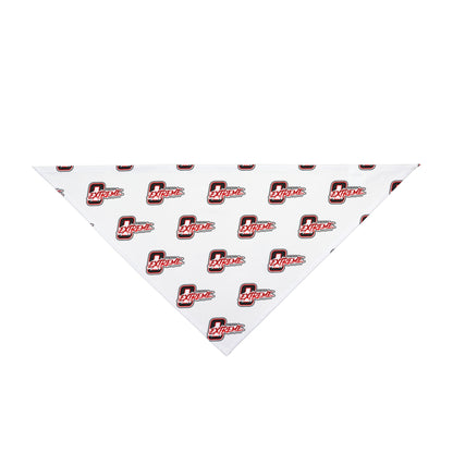 Pet Bandana