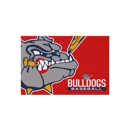 Outdoor Rug Bloomingdale Bulldogs Baseball