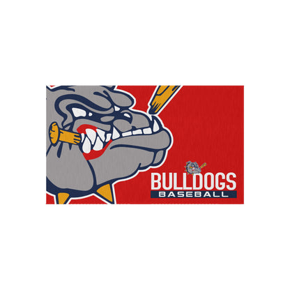 Outdoor Rug Bloomingdale Bulldogs Baseball