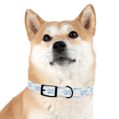 Dog Collar Lightning Baseball