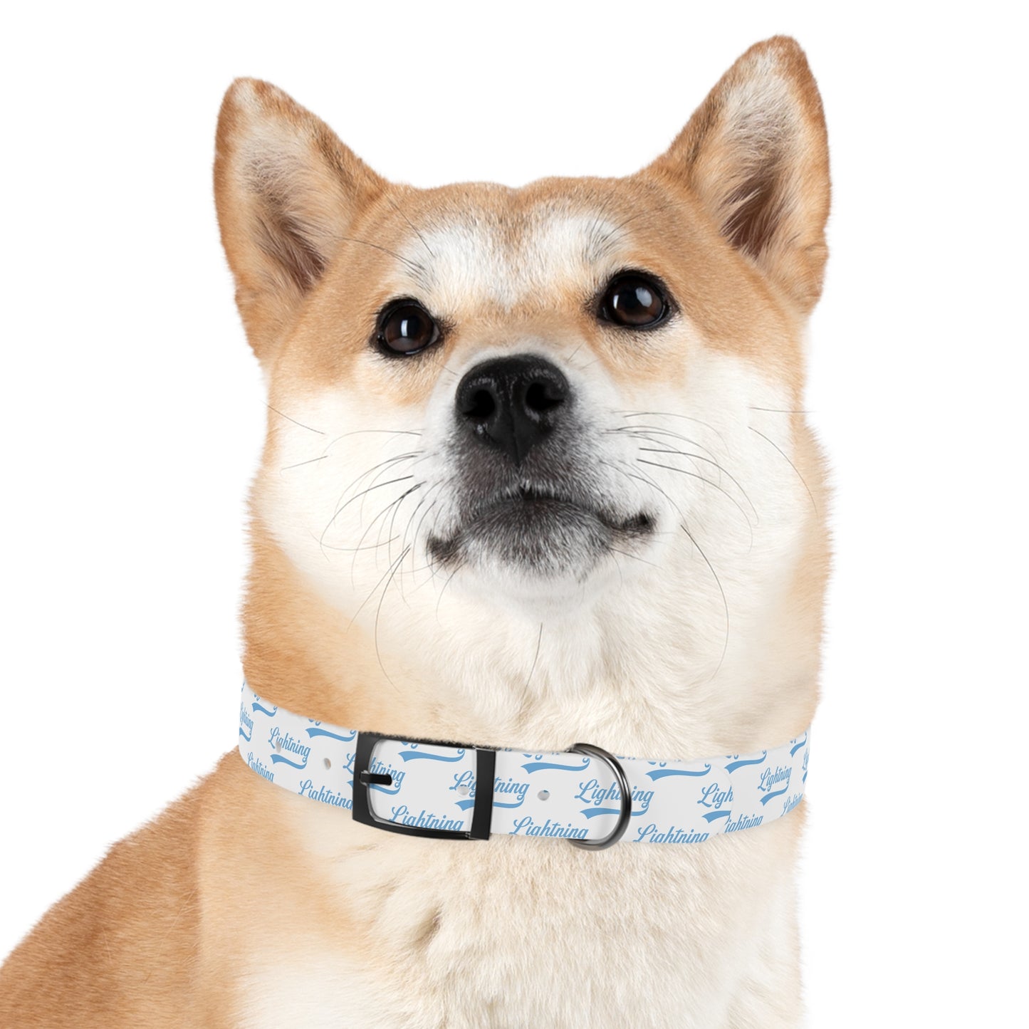 Dog Collar Lightning Baseball
