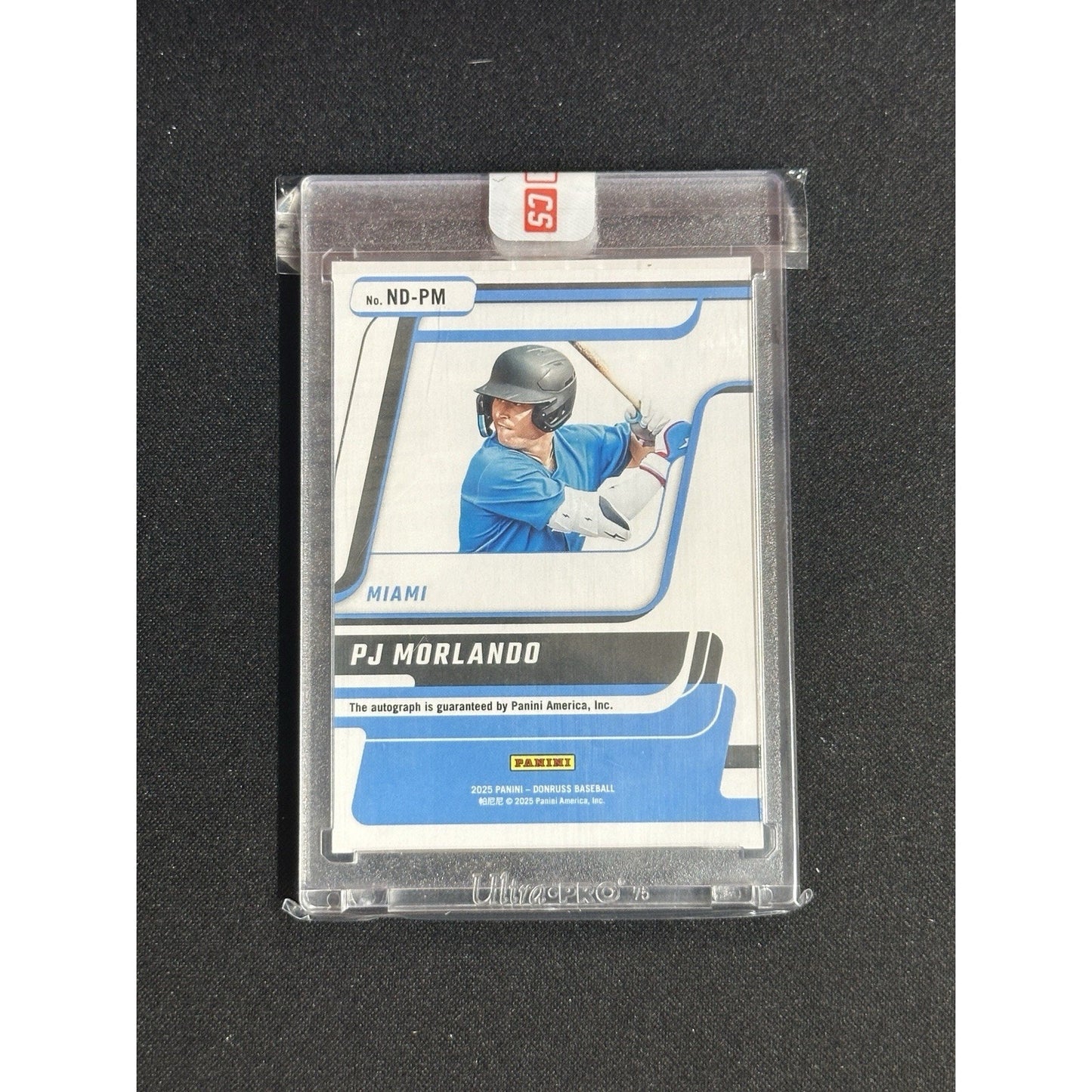 2025 Panini Donruss PJ MORLANDO Next Day Prospect On-Card Auto Marlins #ND-PM