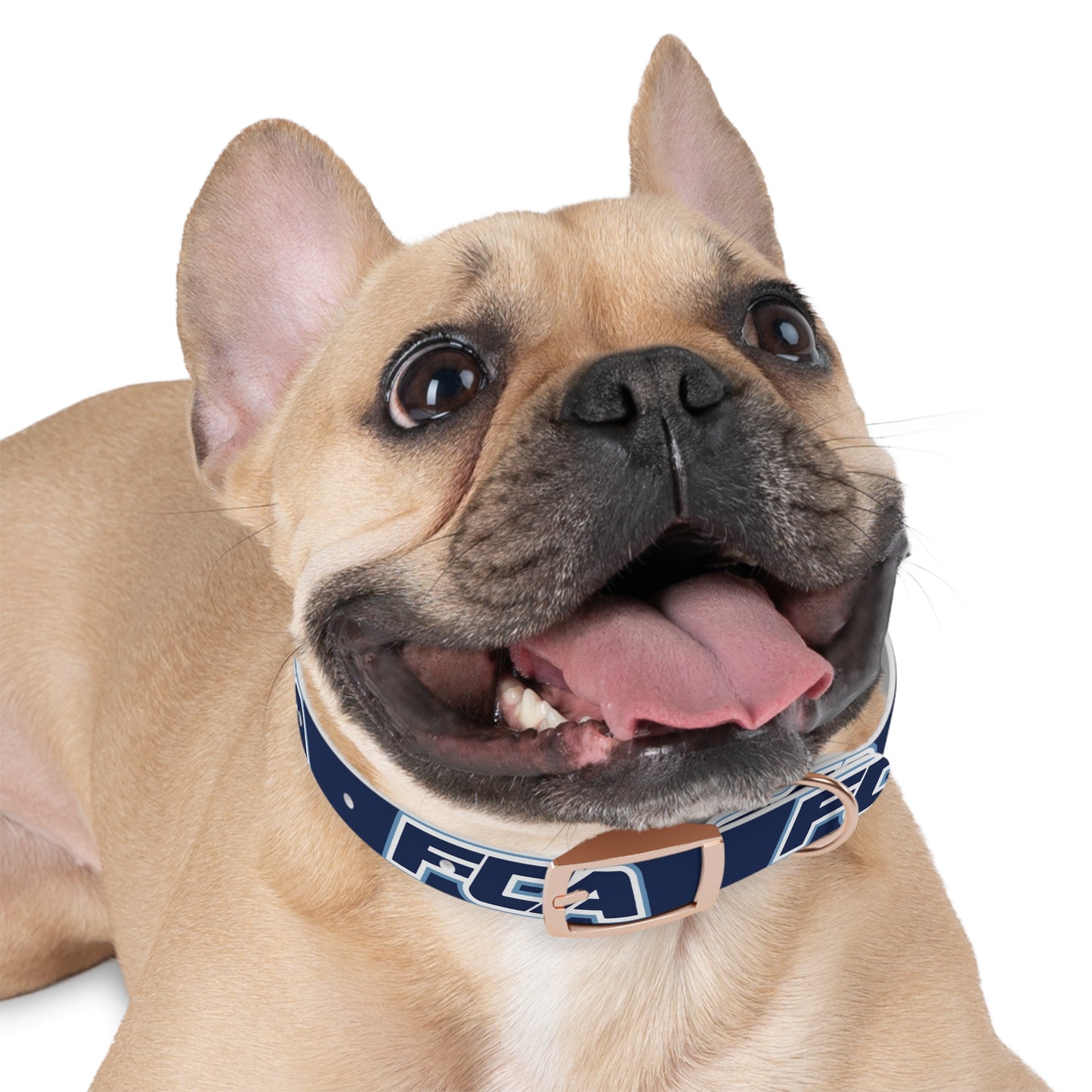 FCA - Dog Collar