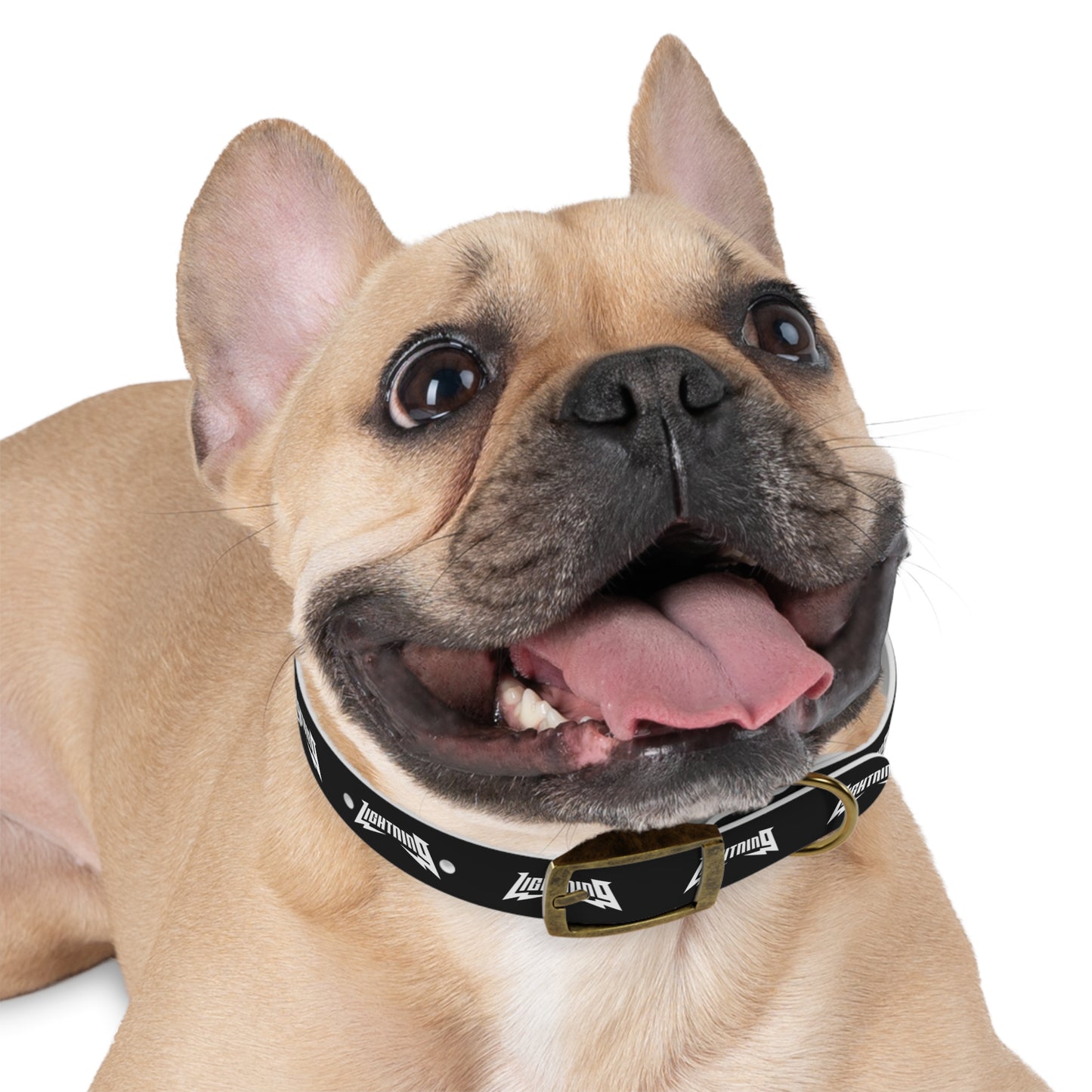 Dog Collar Lightning Baseball