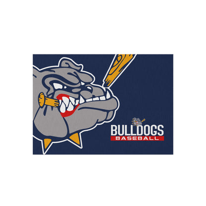 Outdoor Rug Bloomingdale Bulldogs Baseball