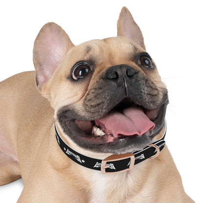 Dog Collar Lightning Baseball