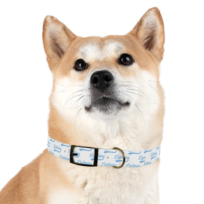 Dog Collar Lightning Baseball
