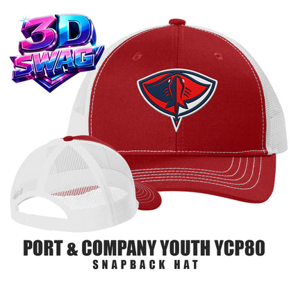 Pasco Stingers Baseball - Port & Company Youth YCP80