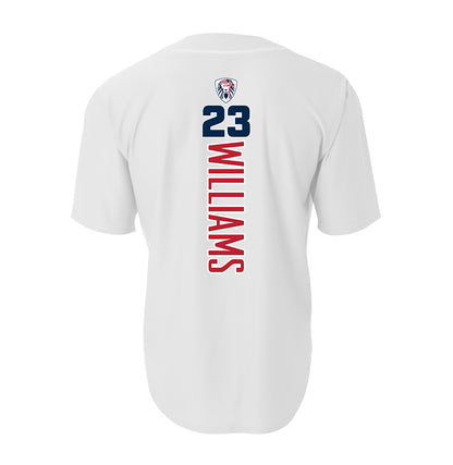 A4 Apparel N4184 Game Day Classic Baseball Jersey - Orlando Lions Baseball