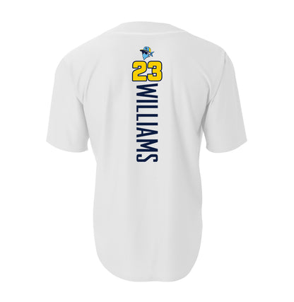 A4 Apparel N4184 Game Day Classic Baseball Jersey - Bold City Bandits Baseball